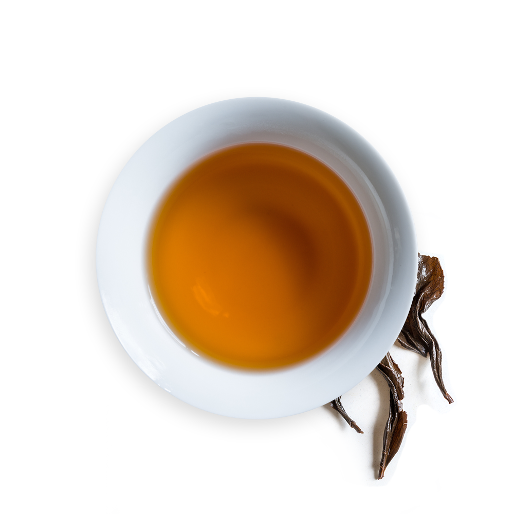 Crimson Spring (10007346570)