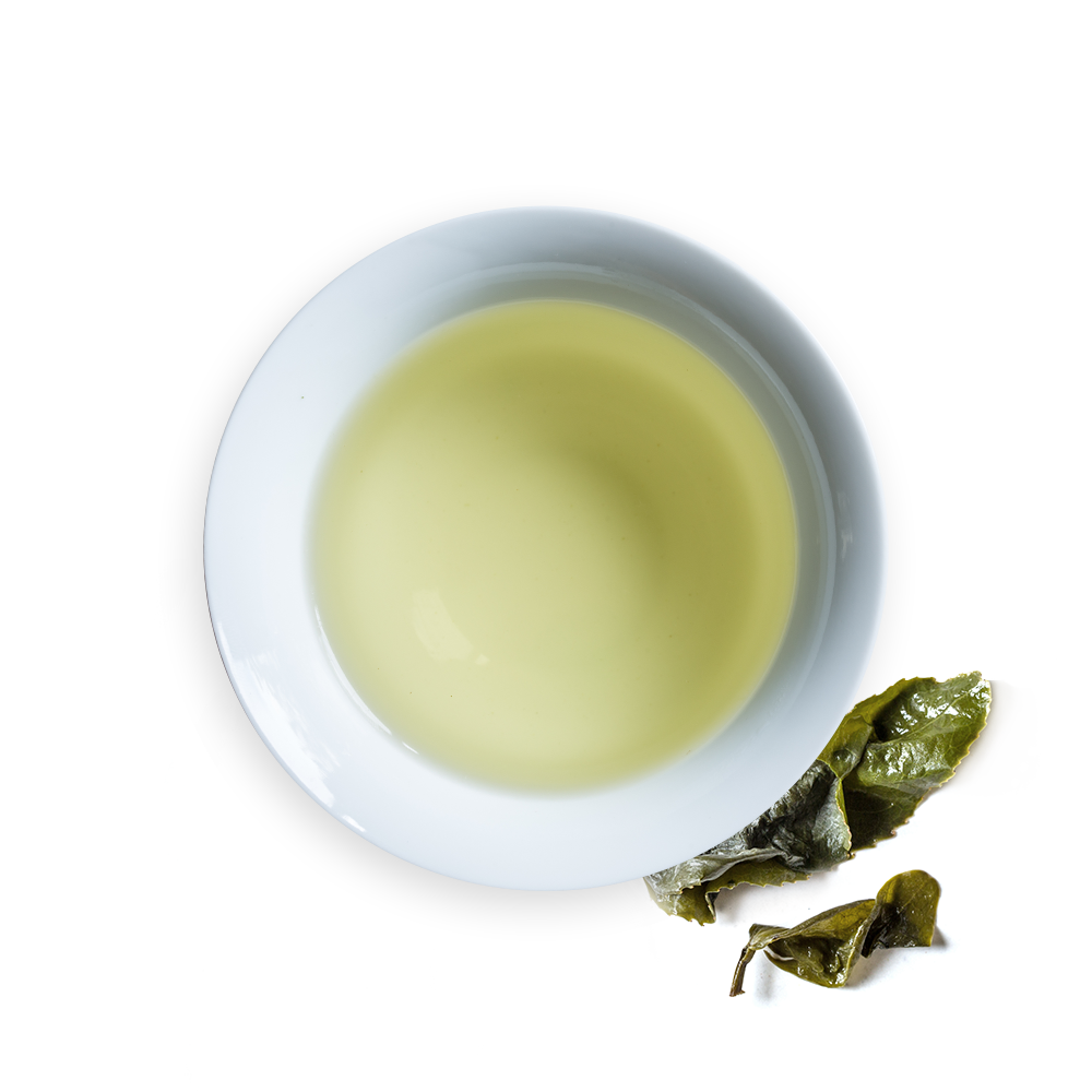 2020 - Golden Lily (10007341898)