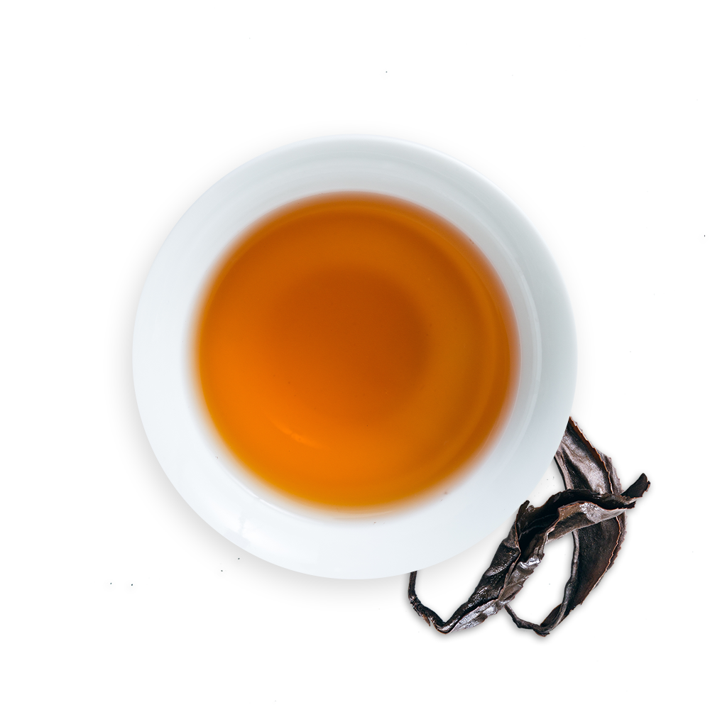 Honey Fragrance (10007339082)