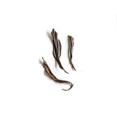 2019 Autumn Wild Mountain (4387685138493)