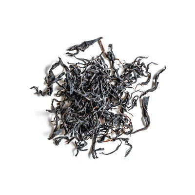 2019 Autumn Wild Mountain (4387685138493)