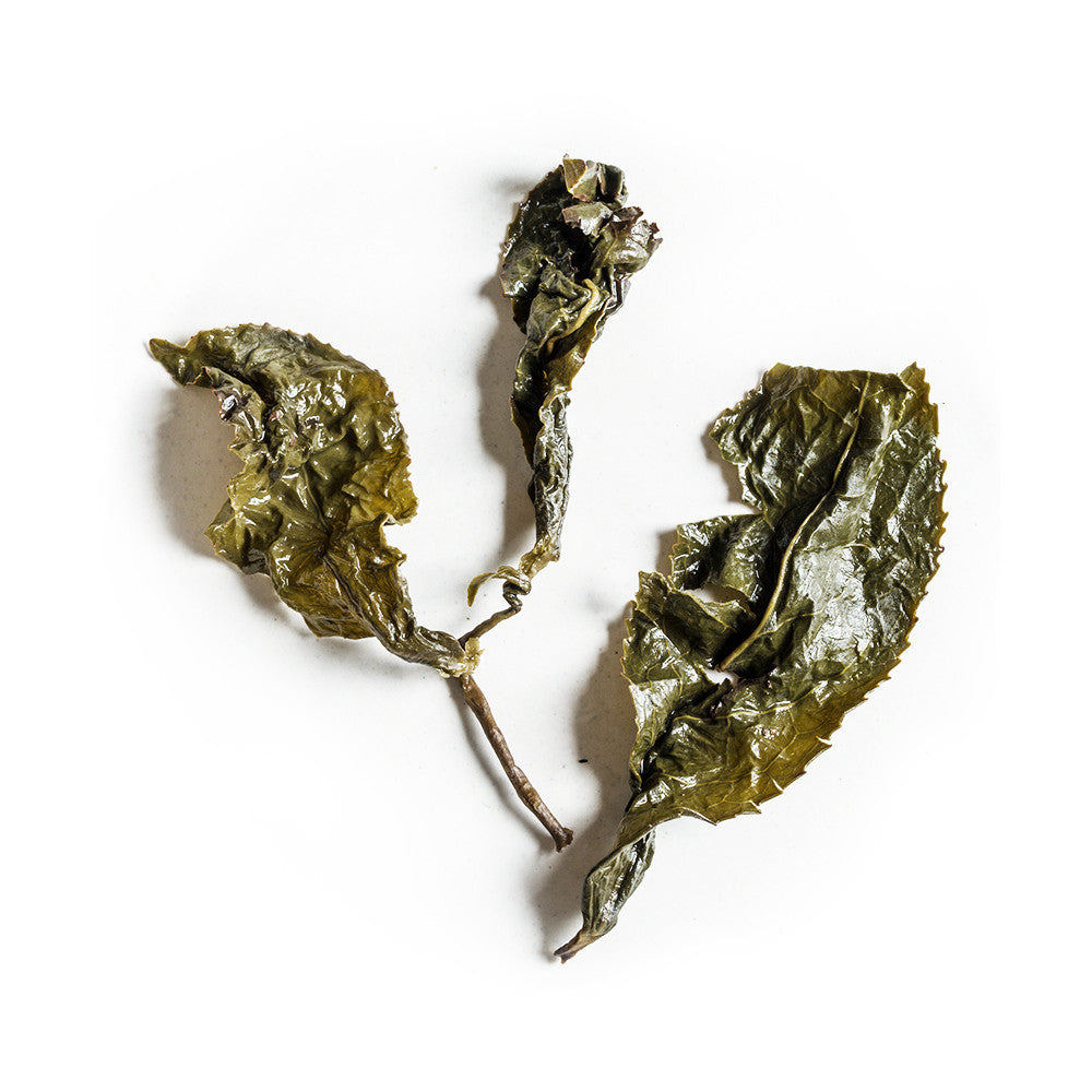 2016 Mountain Spirit Oolong (10007336266)