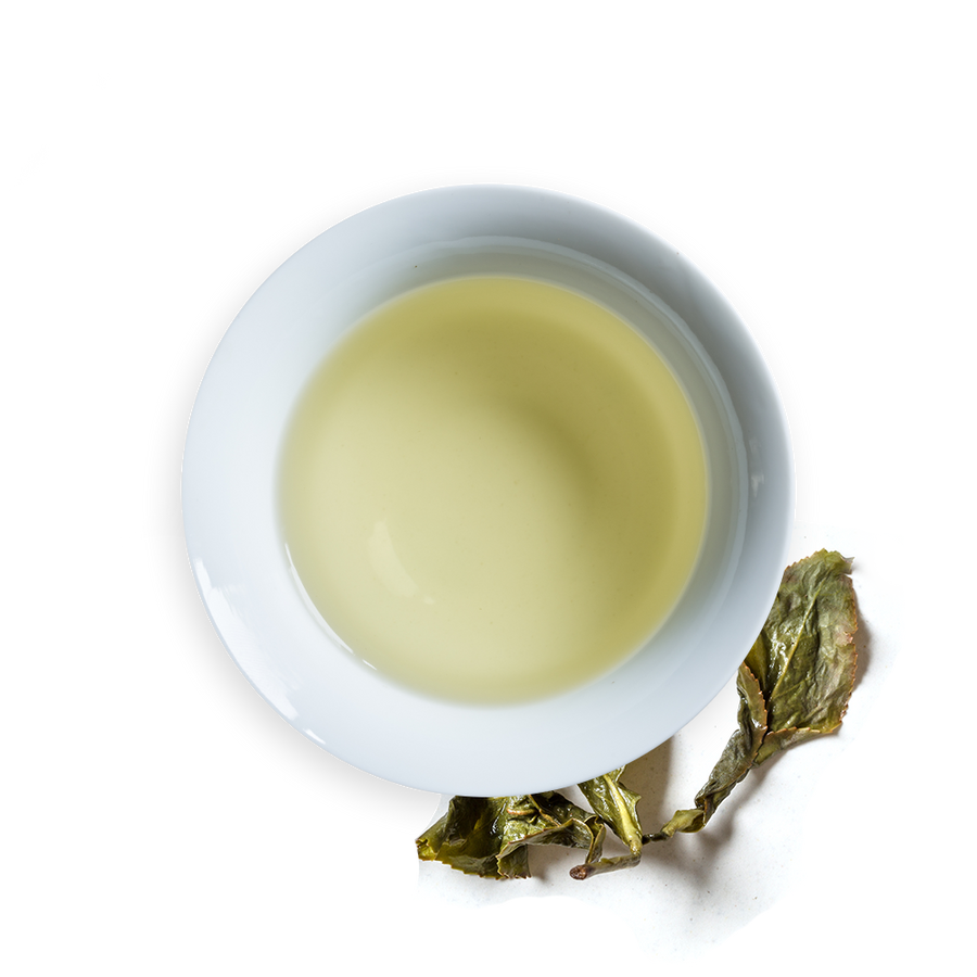 2020 - Drunken Meadow Green (4429181780029)