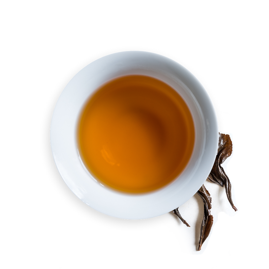 Crimson Spring (10007346570)