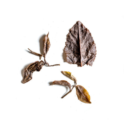 GABA Oolong Tea Leaves (4374098935869)
