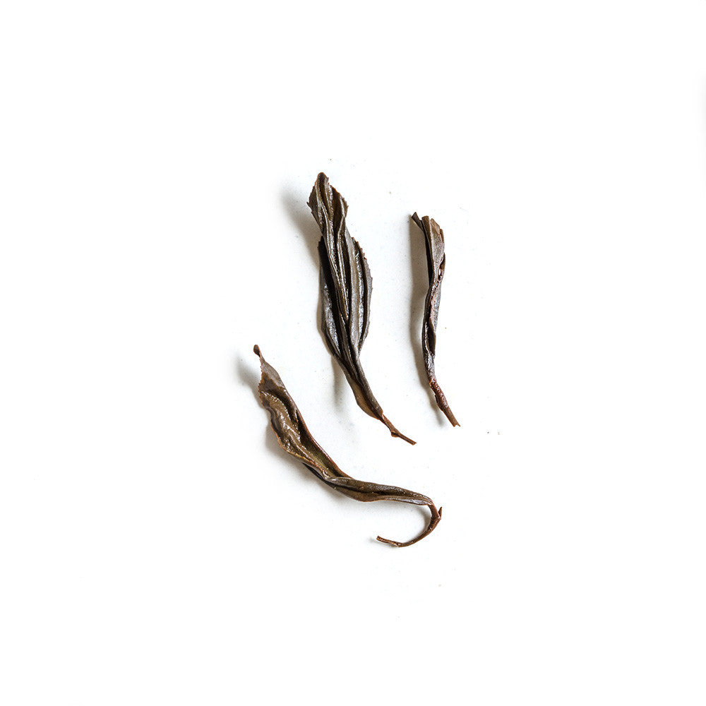 2019 Autumn Wild Mountain (4387685138493)