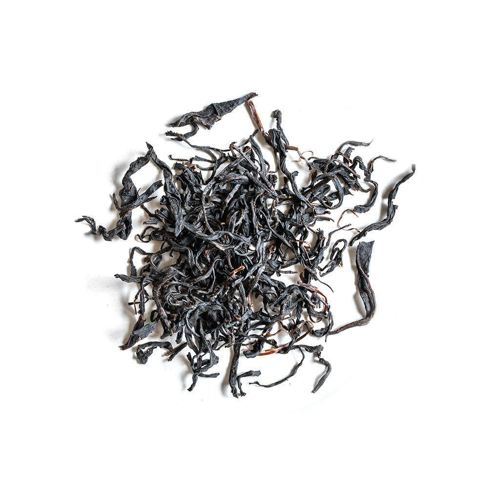 2019 Autumn Wild Mountain (4387685138493)