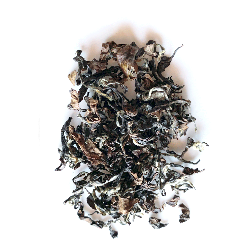 2019 Oriental Beauty Oolong (4405380251709)