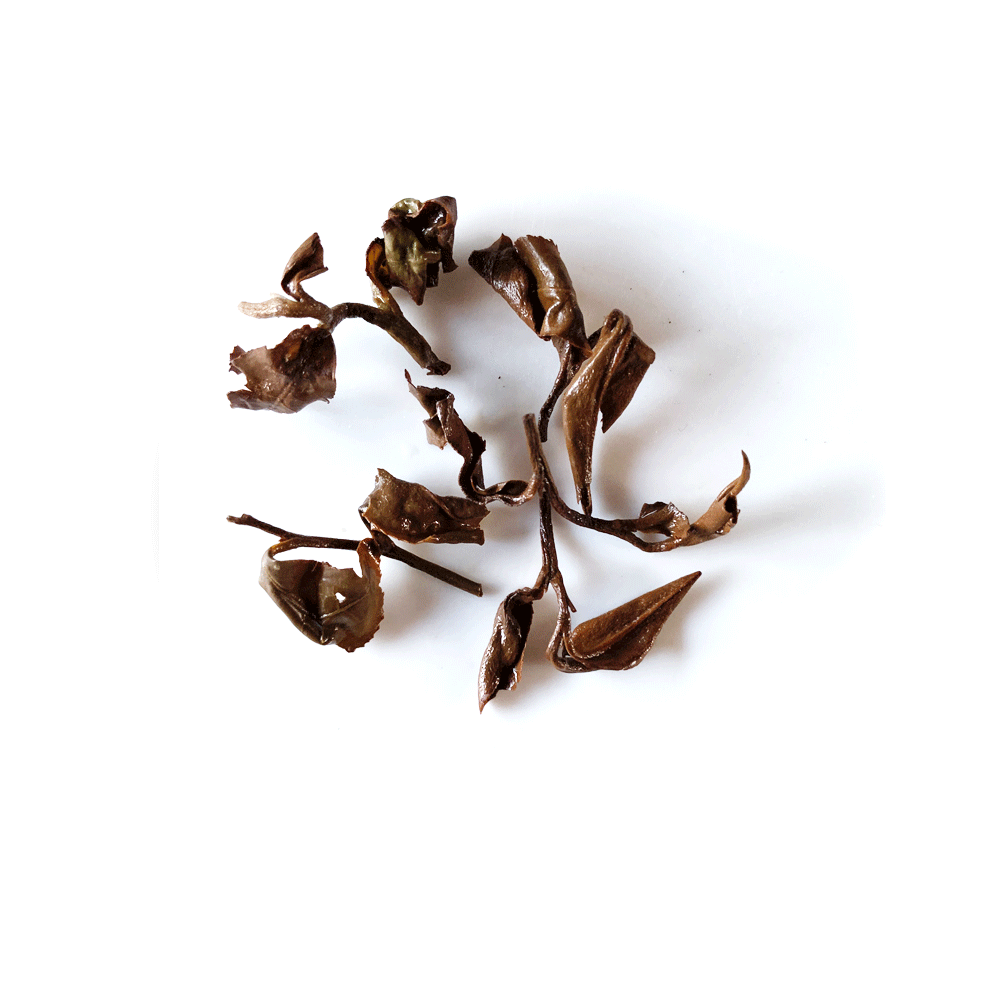 2019 Oriental Beauty Oolong (4405380251709)