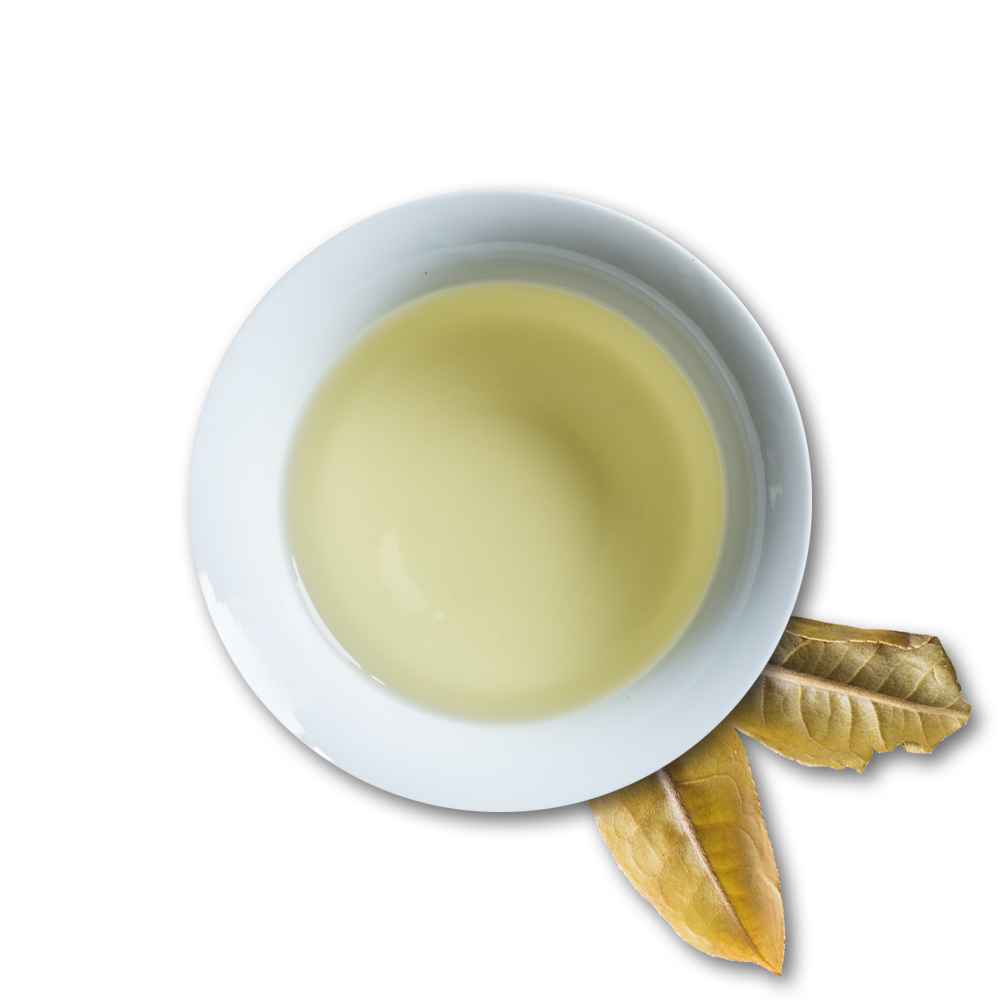 Sister of the Forest White Tea