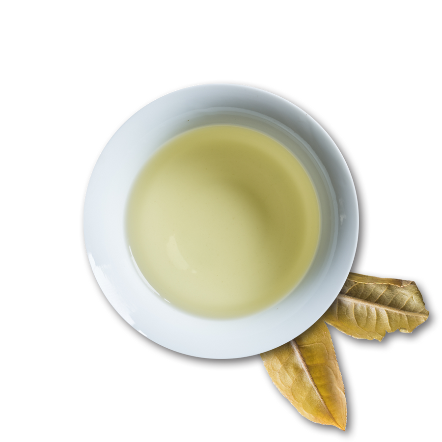 2017 Sister of the Forest (170666688542)